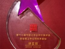 董秘徐亞麗女士榮獲“第十二屆中國創(chuàng)業(yè)板上市公司優(yōu)秀董秘獎(jiǎng)”